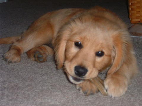 General Pics 067