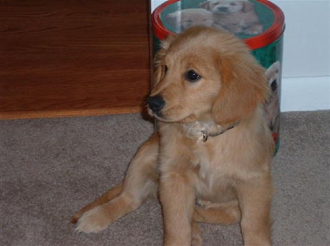 General Pics 069