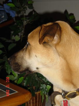 DSC03801