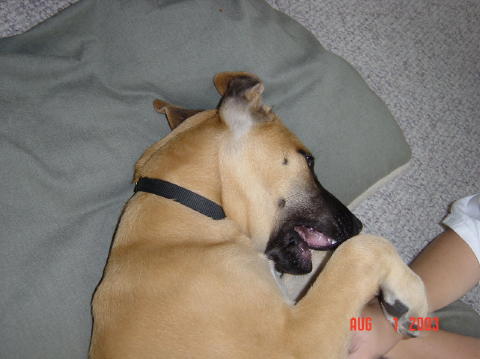 Image007