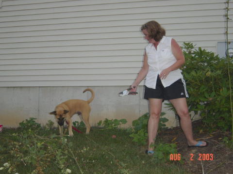 Image011