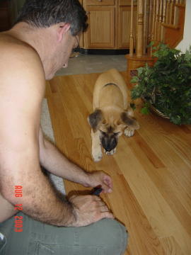 Image001