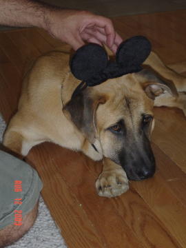 Image003