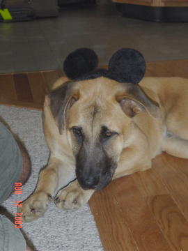 Image004