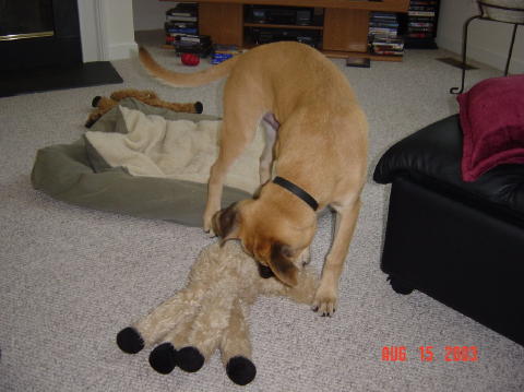 Image003