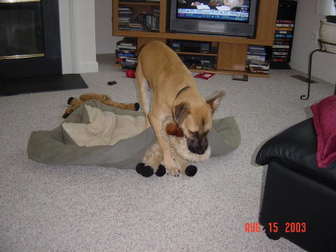 Image004