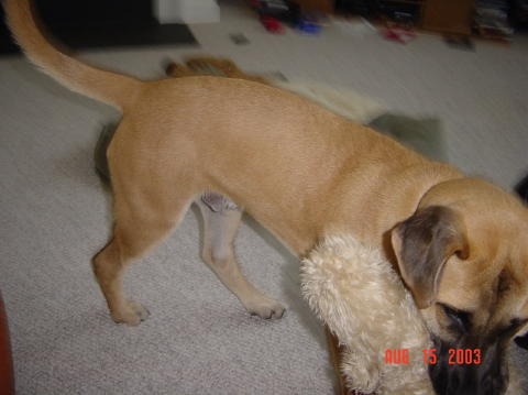 Image005