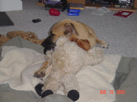 Image006