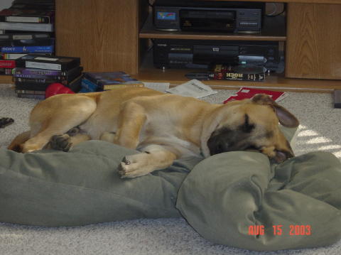 Image008