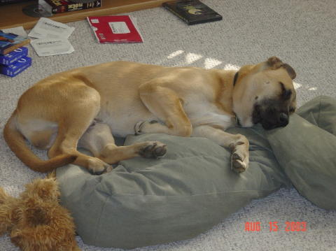 Image009