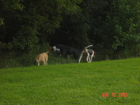 Image011