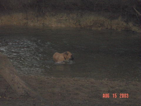 Image012
