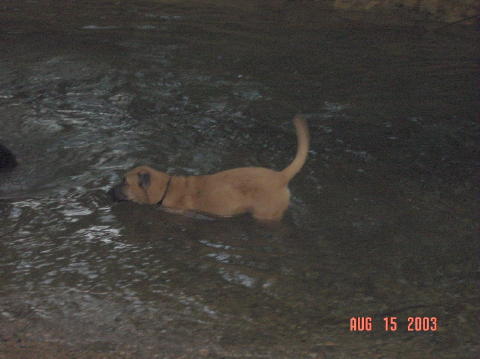 Image013