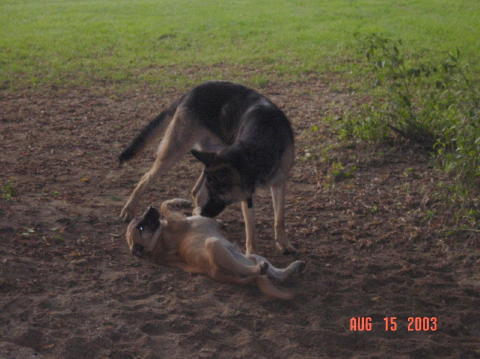 Image014