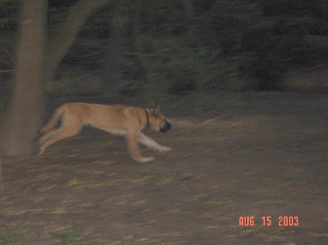 Image015