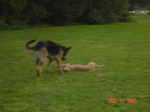 Image016