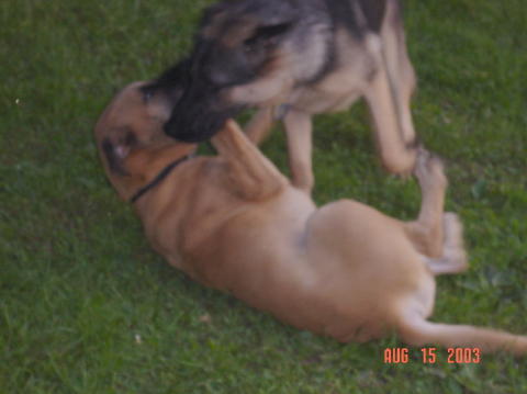 Image018