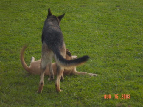 Image019