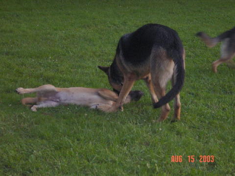 Image020