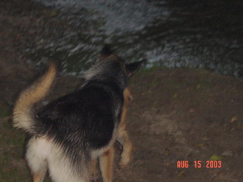 Image021