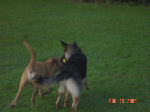 Image022