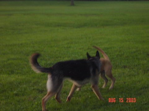 Image023