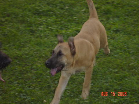 Image024