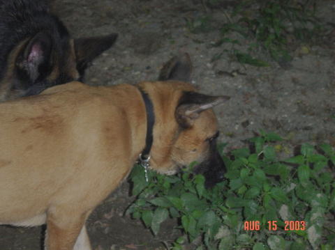 Image025