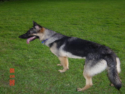 Image026