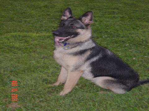 Image029