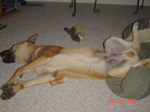 Image001