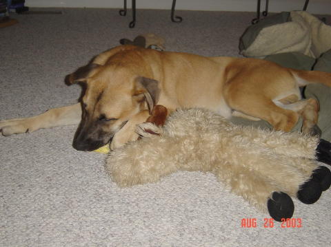 Image002