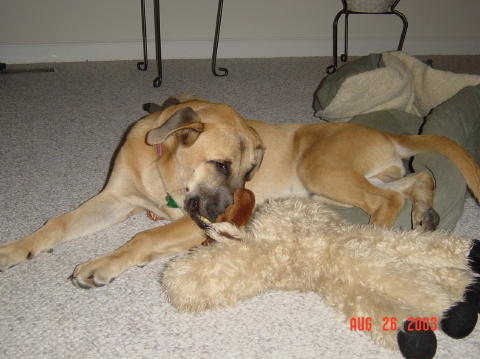 Image003