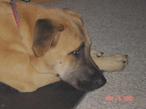 Image005