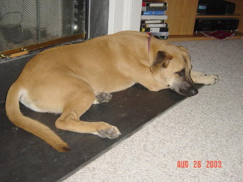 Image008
