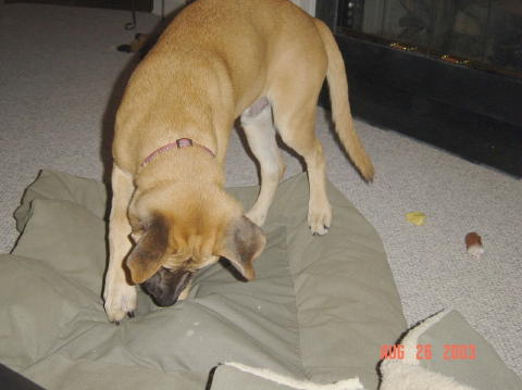 Image010
