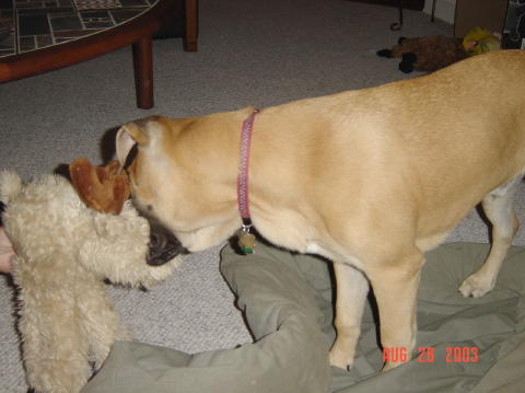 Image012