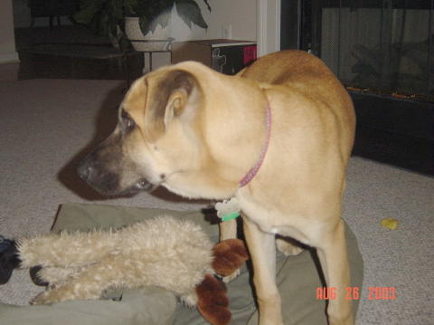 Image013
