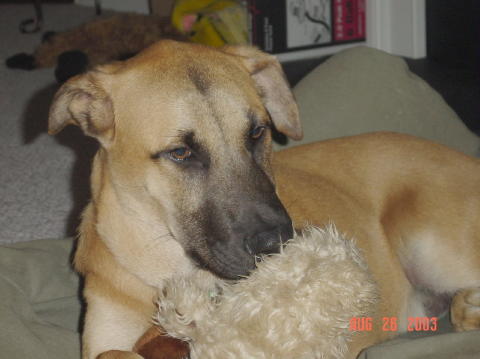 Image018