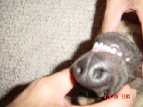 Image001