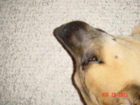 Image002