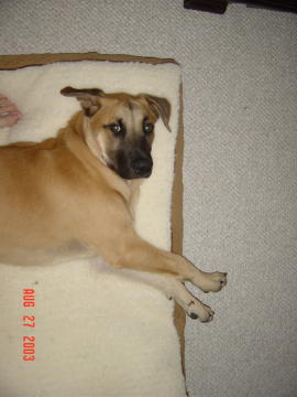 Image004