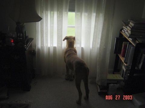 Image008