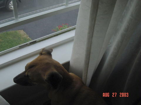 Image009