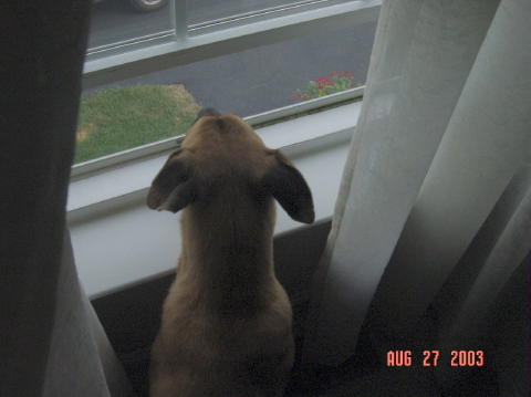 Image010