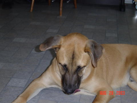 Image018
