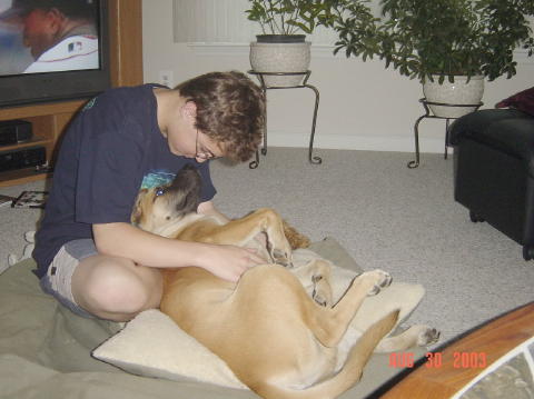 Image005