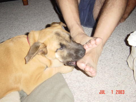 Image003