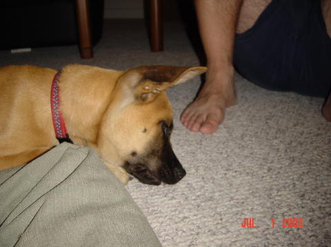 Image010