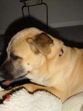 Image012